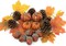 20 Pcs Kit Artificial Pumpkins Decorations, Fall Decorations for Home, Fake Pumpkins for Thanksgiving Halloween Seasonal Holiday Table Decorations
